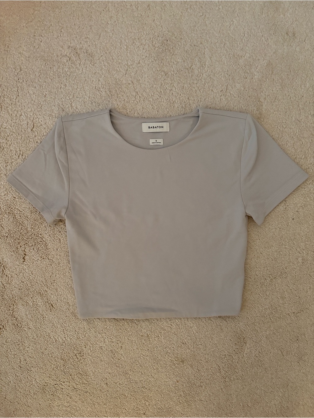 Babaton Taupe Cropped Short Sleeve Crewneck Top